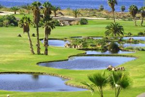 a golf course with palm trees and two ponds at Tenerife Luxury Apartment Costa Adeje in Adeje