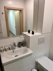 a bathroom with a sink and a mirror and a toilet at Old Town city center apartment 1 - private parking included in Košice