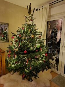 Un árbol de Navidad con adornos de Navidad en él en Lawendowe Wzgórze 21, en Węgierska Górka