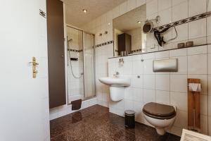 ein Bad mit einem WC, einem Waschbecken und einer Dusche in der Unterkunft Café & Pension Goldbachmühle in Blankenburg