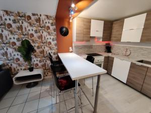 een keuken met een wit aanrecht in een kamer bij Appartement à côté de Disneyland Paris CK-triomphe in Esbly