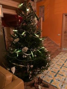 a christmas tree sitting in a living room at Bella Vita brīvdienu māja in Sigulda