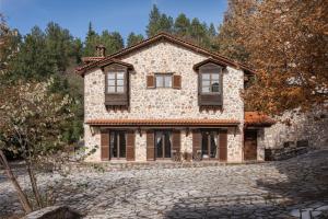 a house with a stone driveway in front of it at Parnassus Woodstone Chalet in Áno Polídhrosos