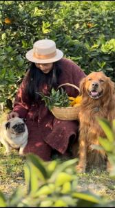 uma mulher com um cesto de legumes e um cão em Mountains Beyond Mountains Inn em Zhangjiajie