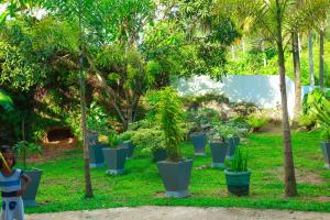 Fotografie z fotogalerie ubytování Bandara House v destinaci Midigama East + 64 fotografií