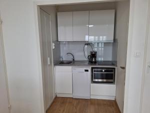 Appartement fonctionnel, vue imprenable mer的厨房或小厨房