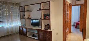 een woonkamer met een flatscreen-tv op een plank bij Holiday Home Salinas 7 in Alicante