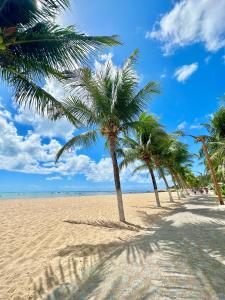 una fila di palme su una spiaggia sabbiosa di Casa da Praia Japaratinga a Japaratinga
