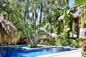 a swimming pool in a garden with palm trees at Fuego Lodge in Santa Teresa Beach