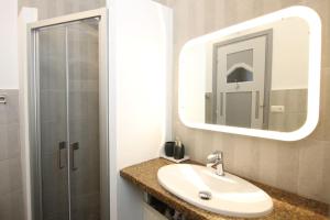 a bathroom with a sink and a mirror and a shower at La casa del árbol in San Sebastián