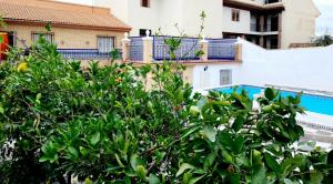 a tree in front of a building and a swimming pool at casa el chiquitín in La Zubia