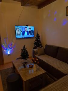 Televisor o centre d'entreteniment de Mokrogorska kuca