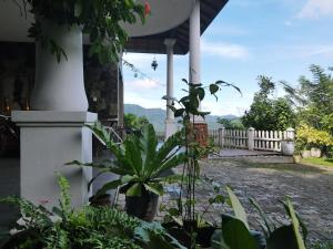 Gannoru Hatana Villa في كاندي: شرفة منزل مع نباتات الفخار