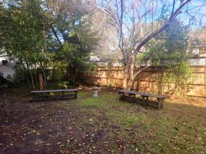 two benches in a yard with a tree and a fence at Beaufort Harbour Suites in Beaufort