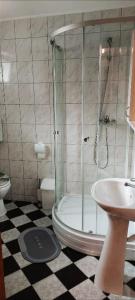 ein Bad mit einer Dusche, einem WC und einem Waschbecken in der Unterkunft Soba Luić in Županja