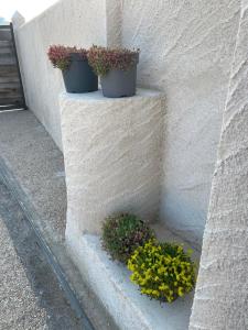 Fotografia z galérie ubytovania Boutique Finca esencial v destinácii Villafranca del Bierzo