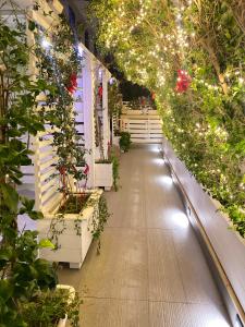 Una pasarela con luces navideñas y plantas en macetas. en HOME 3 BED Aparthotel, en Bisceglie