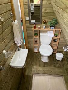 a bathroom with a toilet and a sink at Sítio flor da montanha in São Bento do Sapucaí