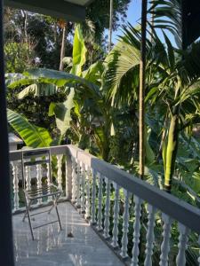une chaise assise sur une terrasse couverte avec des palmiers dans l'établissement Juri Cottage: Duplex style, Sylhet divison, Bangladesh, 