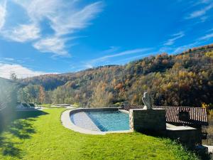 una piscina en un campo con una montaña en el fondo en Cabanya les Moreres, en Molló