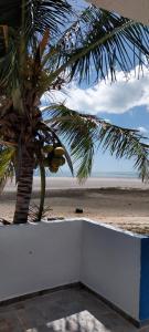 a palm tree next to a beach with a coconut tree at VILLA Enzo in Acaraú