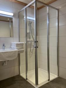 a glass shower in a bathroom with a sink at Apartment Obergruberhof in Schladming