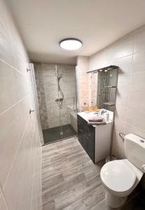 uma casa de banho com um chuveiro, um WC e um lavatório. em Appartements Chalet Lauranoure Centre Station em Les Deux Alpes