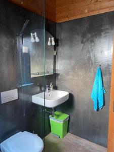 uma casa de banho com um lavatório e um WC em Poioruivo em Santa Clara-a-Velha