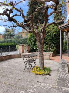 Une table à côté d'un arbre avec des fleurs autour de lui dans l'établissement Casa degli Affreschi Tuscany, à San Rocco a Pilli