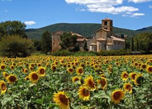 een veld van zonnebloemen voor een kerk bij Casa degli Affreschi Tuscany in San Rocco a Pilli