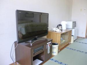 TV a/nebo společenská místnost v ubytování Sudomari Hotel Roman Tsutsuji