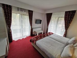 a bedroom with a large bed and windows at Hotel Rudo in Predeal