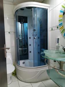 a bathroom with a shower and a sink and a toilet at Hotel Rudo in Predeal