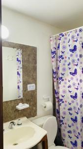 a bathroom with a sink and a toilet and a shower curtain at Hope del Bosque in Ushuaia