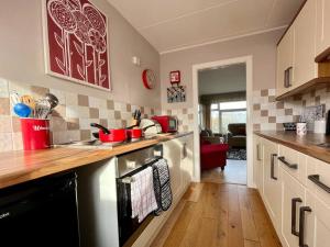 uma cozinha com um lavatório e um fogão forno superior em 2 Bedroom Seaview Apartment em Pembrokeshire