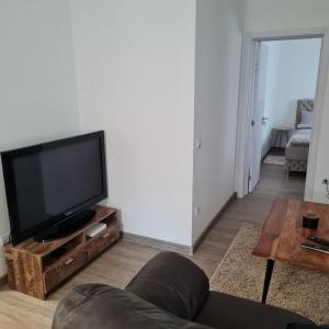 un soggiorno con divano e TV a schermo piatto di APARTMAN011 a Mirijevo