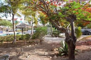 Un árbol en un parque junto a una piscina en Caribbean Court E1 en Kralendijk