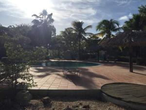 a pool with a bench in a courtyard with palm trees at Caribbean Court E1 in Kralendijk