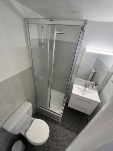 a bathroom with a shower and a toilet and a sink at Studio au centre des 4 vallées in Nendaz +12 photos