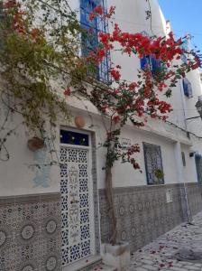 a building with a door and a tree with red flowers at Dar Nana in Sousse
