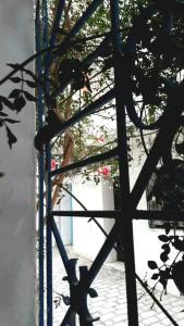 une vue à travers une porte métallique avec des fleurs en arrière-plan dans l'établissement Dar Nana, à Sousse