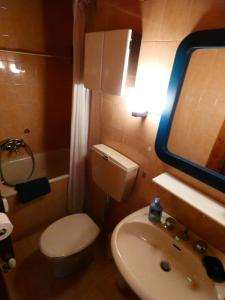 a small bathroom with a toilet and a sink at Le Coucou de Thovex in Morgex +28 photos