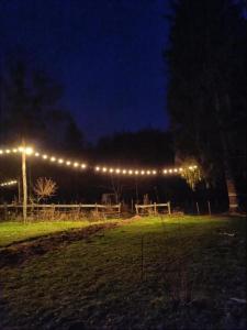una fila di luci in un campo di notte di Luxe tent Coq de Marans 