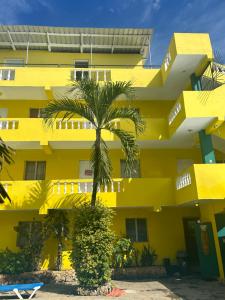a yellow building with a palm tree in front of it at Coco Hotel and Hostel in Sosúa