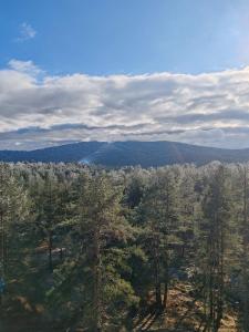 Priroda u blizini apartmana