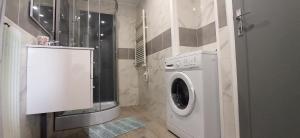 y baño con lavadora y ducha. en Appartement au rez-de-chaussée avec jardin privé, en Margny-lès-Compiègne