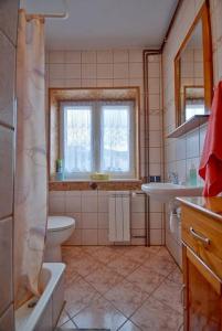 a bathroom with a toilet and a sink at Apartamenty Wierch 17 in Kościelisko