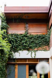 a building with plants growing on the side of it at Hostel Casa Roble in Mendoza