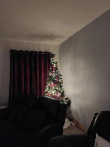 a christmas tree in a living room with a couch at Molly's Self Catering Accommodation in Cavan