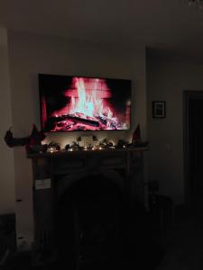 TV de pantalla plana y sala de estar con chimenea. en Molly's Self Catering Accommodation en Cavan